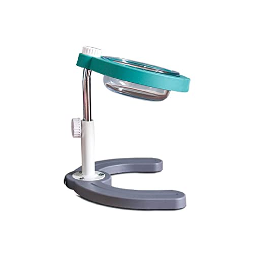 Houozon Comederos elevados para Perros, comederos Ajustables para Mascotas, comederos elevados para Mascotas con Cuencos de Cristal duraderos, Perros pequeños y Grandes,Verde