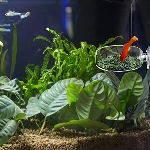 HoveeLuty Acuario Camarón Alimentación Cuencos Acrílico Redondo Cuadrado Claro Fish Tank Feating Plates con Ventosas 4pcs