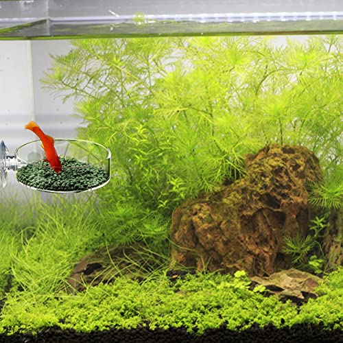 HoveeLuty Acuario Camarón Alimentación Cuencos Acrílico Redondo Cuadrado Claro Fish Tank Feating Plates con Ventosas 4pcs