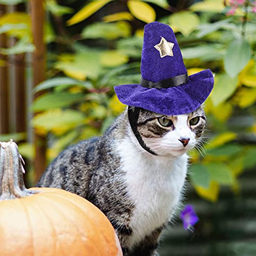 HoveeLuty Pet Wardard Hat Hombre Halloween Dog Cat Cosplay Party Decoración Tocado Pet Pet Fiesta De Navidad Cosplay Suministros 1pcs