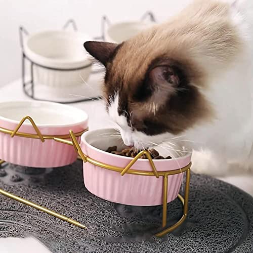 HQW Cuenco de cerámica para Gatos, con Soporte de Metal, Cuenco de alimentación, protección para el Cuello del Gato, Cuenco de cerámica para Gatos o Perros