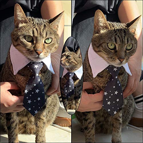 HRP Corbata Formal del Gato Perro Perrito Gatito Ajustable para Mascotas (L, Star-Black)