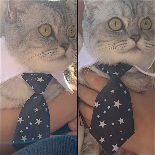 HRP Corbata Formal del Gato Perro Perrito Gatito Ajustable para Mascotas (L, Star-Black)