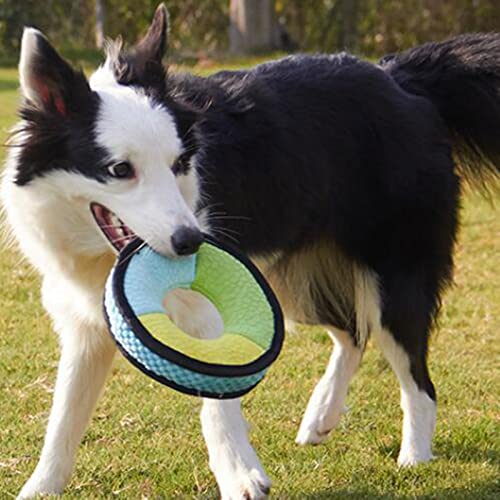 Huachaoxiang LUGEX Buzz Dog Toy Toy INDESTRUCTUBLE TRENAJE Transporte Pet Pet Juguetes ADECUADOS para Perros Big,2