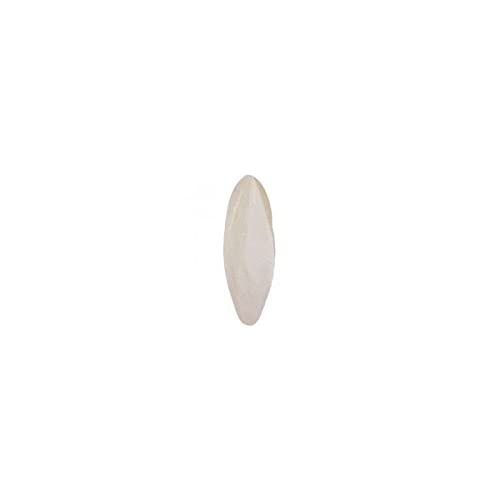 Hueso De Jibia - 500 Gr