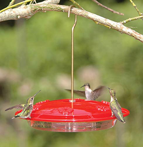 HummZinger Excel, 16 oz Hanging Feeder by Aspects