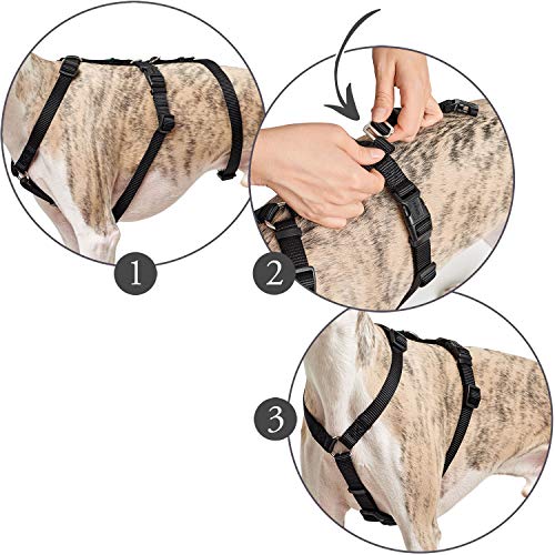 HUNTER Arnés antiescape Vario Rapid, S Negro, Nylon