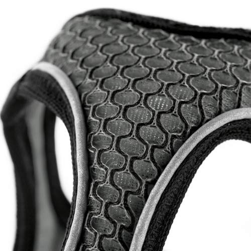 Hunter - Arnes Hilo Comfort Xs Antracita