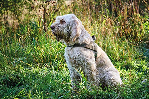 Hunter Arnés Norwegian para Caza de Perros, 45 x 58-79 cm, Color Negro