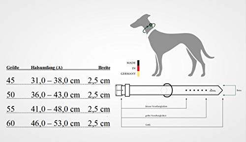 HUNTER Bombay - Collar de Piel para Perro (60 (M-L), Color marrón Oscuro