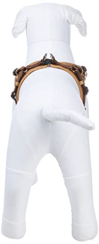 HUNTER Vario Arnés de Neopreno rápido, Mediano, 55 – 70 cm, 15 mm, marrón/casamel
