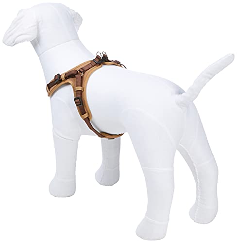 HUNTER Vario Arnés de Neopreno rápido, Mediano, 55 – 70 cm, 15 mm, marrón/casamel