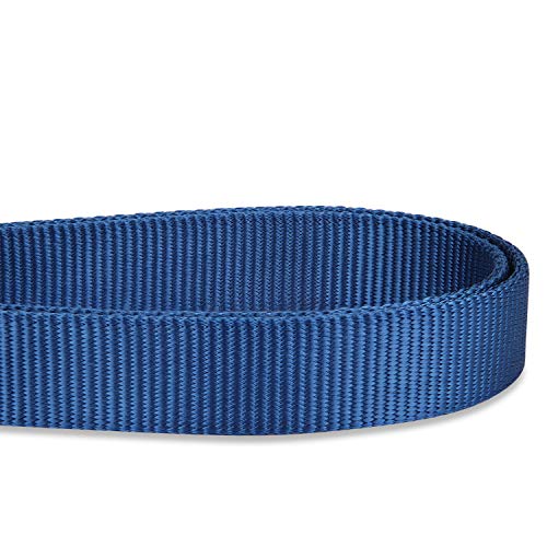 Hyhug Correa de Longitud Ajustable con Nylon Duradero y manija Forrada de Neopreno súper Suave para Perros Uso Diario para Caminar y Entrenamiento Profesional (Ajustable Grande L, Azul clásico)