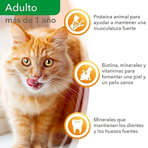 IAMS Delights Sea Collection Alimento húmedo en gelatina - para gatos adultos con diversos sabores a pescado 12 x 85g