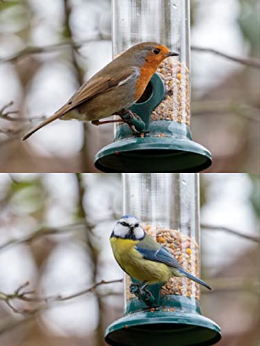 iBorn Alimentador colgante para pájaros salvajes de 8 pulgadas para jardín al aire libre con dos puertos de alimentación, todo de metal, pintado resistente al óxido, verde 2 paquetes