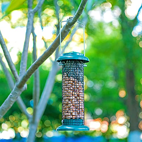 iBorn Alimentador para pájaros de girasol, alimentador de nuez de cacahuete para pájaros silvestres, jardín al aire libre, verde pino vintage, 20,3 cm de alto