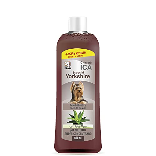 ICA CHP19 Champú con Aloe Vera para Yorkshire
