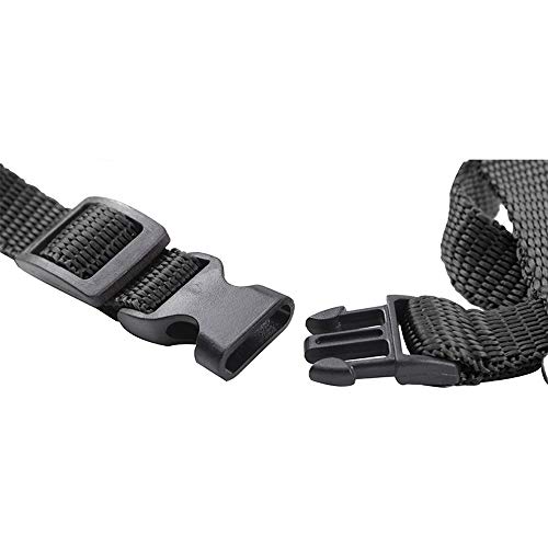 Icecode Arnés de gato Gatito Correa de nylon Correa de correa ajustable Conjunto de correa de gatito (negro)