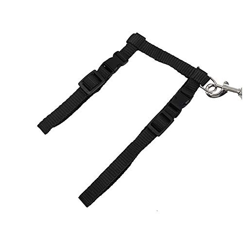 Icecode Arnés de gato Gatito Correa de nylon Correa de correa ajustable Conjunto de correa de gatito (negro)
