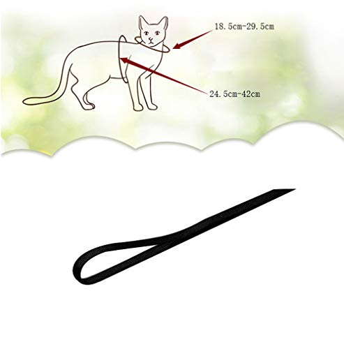 Icecode Arnés de gato Gatito Correa de nylon Correa de correa ajustable Conjunto de correa de gatito (negro)