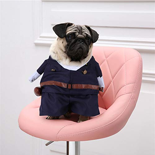 Ichiias Disfraz para Mascotas Poliéster Doctor Lindo Disfraces de Halloween Verticales para Gatos Perros(02 S)