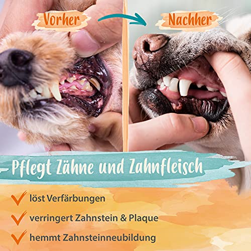 Ida Plus Denta Dog – eficaz cuidado dental para perros, sin cepillar, cuidado dental para perros, detiene el mal aliento y proporciona aliento fresco al perro, 100 g, juego de 2 unidades
