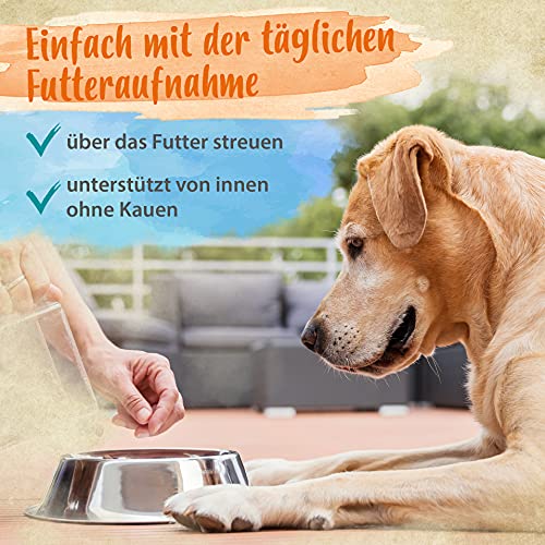 Ida Plus Denta Dog – eficaz cuidado dental para perros, sin cepillar, cuidado dental para perros, detiene el mal aliento y proporciona aliento fresco al perro, 100 g, juego de 2 unidades