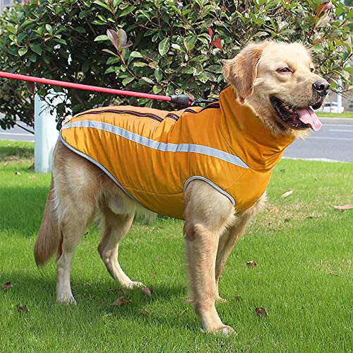Idepet Abrigo Impermeable para Perros Chaqueta cálida de Invierno,Ropa para Mascotas a Prueba Viento Chaqueta para Perros Traje para Perros pequeños medianos Grandes con Orificio para el arnés XL-6XL