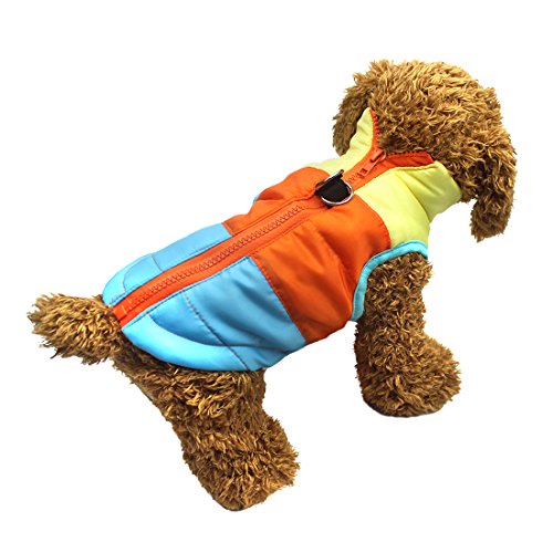Idepet Mascota Perro Gato Escudo con Correa Ancla Color Patchwork Acolchado Cachorro Chaleco Teddy Chaqueta Chihuahua Disfraces Pug Ropa XS S M L (S, Azul)
