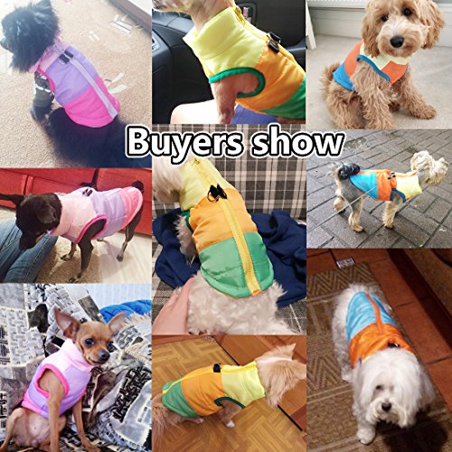 Idepet Mascota Perro Gato Escudo con Correa Ancla Color Patchwork Acolchado Cachorro Chaleco Teddy Chaqueta Chihuahua Disfraces Pug Ropa XS S M L (XS, Verde)
