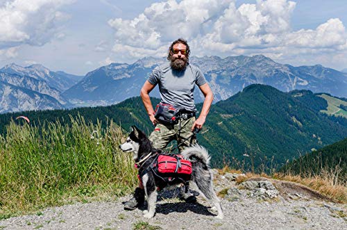 iEnergy Mal - Mochila para Perro, Talla Grande