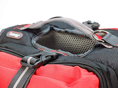 iEnergy Mal - Mochila para Perro, Talla Grande