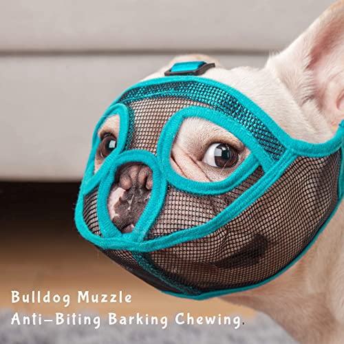 ILEPARK Bozal para Perros de Hocico Corto, Bozal de Bulldog francés, Anti-Mordiscos y Ladridos, Máscara para Perros Transpirable Ajustable(L,Azul)