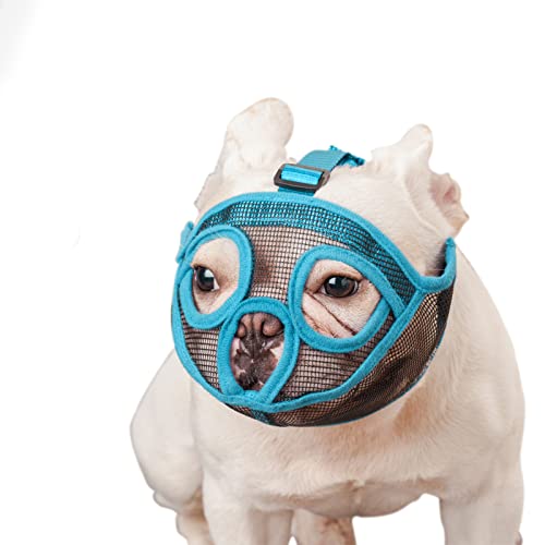 ILEPARK Bozal para Perros de Hocico Corto, Bozal de Bulldog francés, Anti-Mordiscos y Ladridos, Máscara para Perros Transpirable Ajustable(L,Azul)