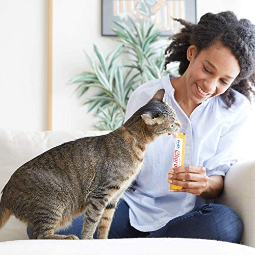 INABA Churu Sticks - Golosinas para Gatos Que se Pueden lamer para Alimentar con la Mano - Delicioso y Saludable refrigerio para Gatos - Atún