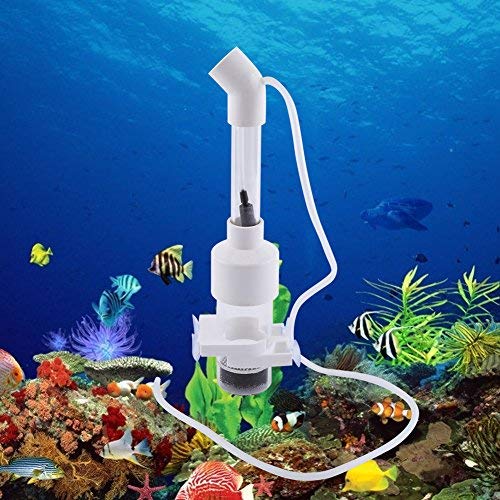 Incubadora Acuario Incubadora de Peces Incubadora de Huevos de Pescado Criadero de Peces Acuario de Cíclidos Peces Breeding Box Fish