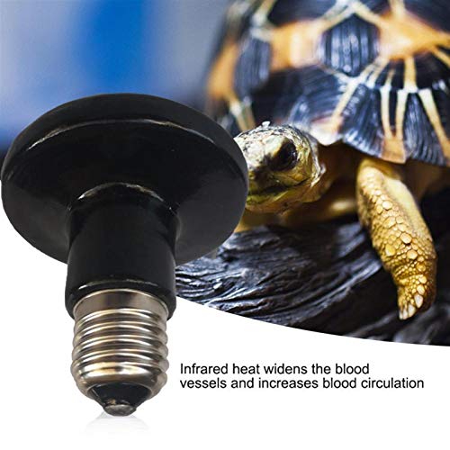 Inicio y cocina Infrarrojo de cerámica bulbo calor emisor de luz for reptil Incubadora Pet Et aislamiento de la lámpara de 50W pet reptil calefacción del infrarrojo lejano ( Color : 50w )
