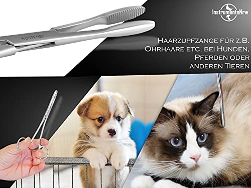 InstrumenteNrw Pinzas para las orejas, de acero inoxidable, con dentado interior sin bloqueo, calidad profesional (16 cm)