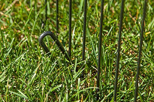 Iris Ohyama, Parque para perros al aire libre / parque para cachorros, 1,7 m², 8 paneles, puerta con pestillo, conectores para un fácil montaje y desmontaje - Wire Pet Circle WPC-36 - Plata