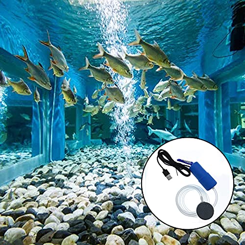 Irtyif Bomba de oxígeno USB, Bomba de oxígeno silenciosa, Bomba de oxígeno Que Ahorra energía, Burbujeador de pecera, Máquina de oxígeno para Pesca, Bomba de Masa de Aire con válvula Ajustable, Azul