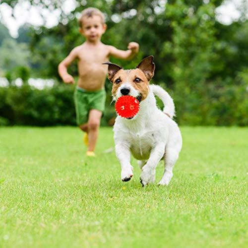 ISAKEN Bola de Juguete para Perros PVC Rebote Bola de Punta, Juguete Mascota Chirrido Juguete, Juguete Persiguiendo rebotar Pelota de Punta, 1PCS (Color al Azar) 6.5CM