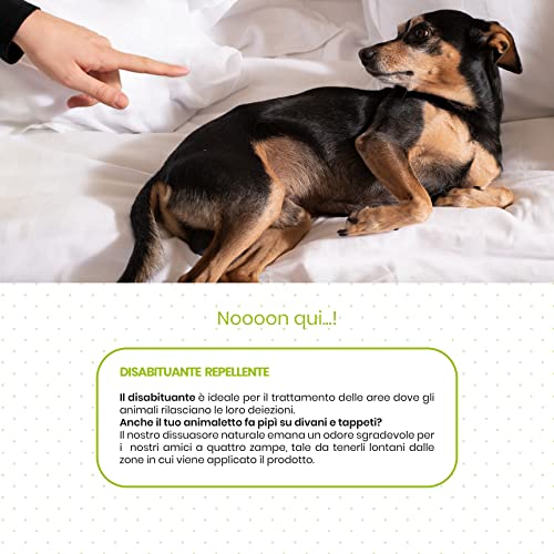 Italian Pet Eco - Disuasor natural para perros, gatos, animales domésticos, repelente para pipas de exterior e interior - Disuasor natural listo para usar - Inofensivo para la salud - 4 botellas