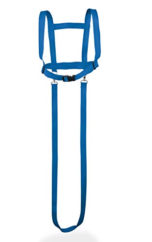 Janna natural goods Arnés de caballo para niños de 3 a 12 años – Correa para jugar para niñas y niños en color azul – Jinete de caballos, 2 piezas cabestro y correa para correr al aire libre