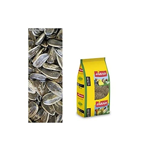 Jarad - Alimento Natural Pipas Loros Y Cotorras