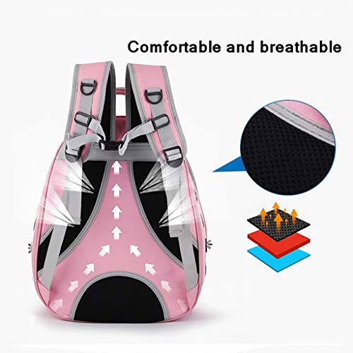 Jaula de pájaros Pet Carrier Mochila, Ave Perro Portador del Gato Mochila del Hombro, Innovador Espacio de visión panorámica portátil Cápsula Mascota Jaula para Loros (Color : F)