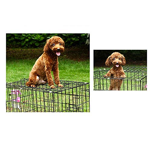 Jaula para perros Mascota Jaula plegable metal negro Jaula para cachorros Puertas con bandeja para gatos Puerta doble plata Puerta mediana Plástico Pequeño Peluche sin masticar Pelo dorado Hierro Aco