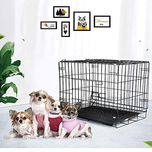 Jaula para perros Mascota Jaula plegable metal negro Jaula para cachorros Puertas con bandeja para gatos Puerta doble plata Puerta mediana Plástico Pequeño Peluche sin masticar Pelo dorado Hierro Aco