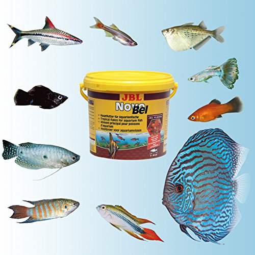 JBL Novobel 5,5 L 5500 g