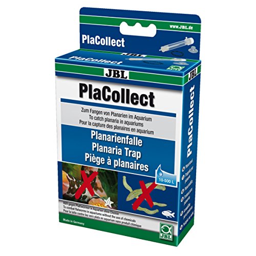JBL PlaCollect, Trampa Planaria para Combatir los Gusanos Planos