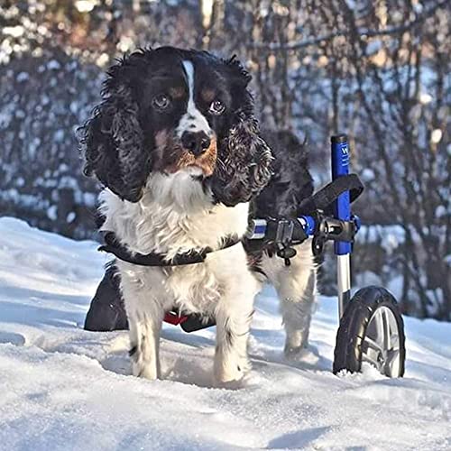 JHGF Silla De Ruedas Ajustable para Perros, Altura: 10.6"-17.7", Ancho 5.1-10.2" Peso 19.8 A 35.2 Lbs, Patas Traseras Rehabilitación Ayuda De Rehabilitación para Perros/Gatos/Mascotas Lesionados En